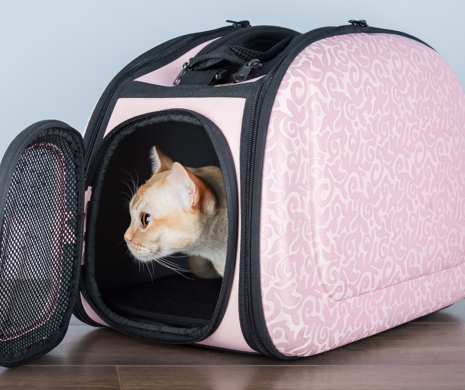 Cat Carriers