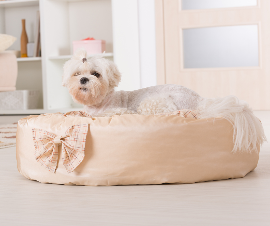 Dog Bedding
