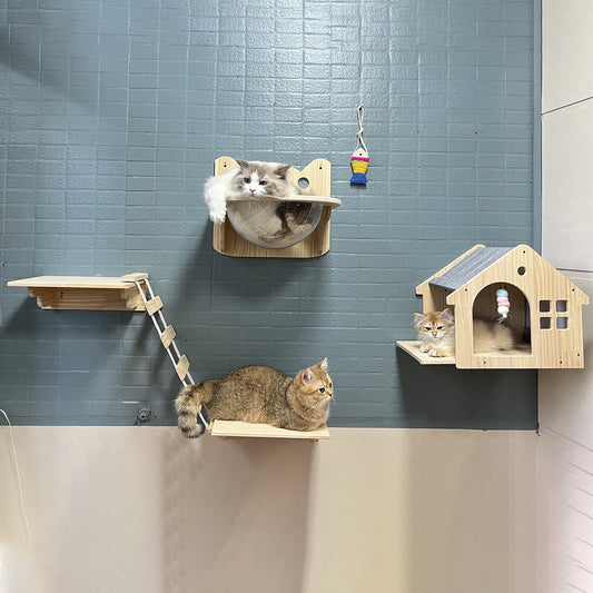 1pc Wall Mounted Cat Condo wooden Villa