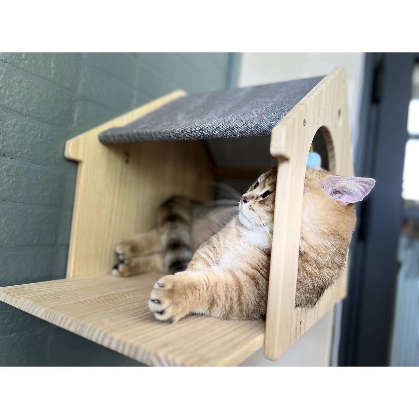 1pc Wall Mounted Cat Condo wooden Villa